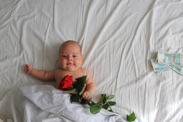 a chubby baby lies on a white bed with a rose in his hand, a real man gentleman with a flower for a postcard