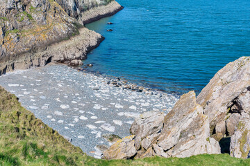 A secluded beach cove where grey and common seals are often found
