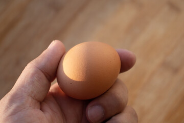 Woman's hands 'holding' an egg. Little desaturated in brown colour. Chicken egg in hand. Chicken yellow egg in hand