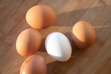 fresh eggs. Chicken eggs on the table. White chicken egg among the yellow ones