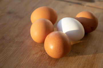 fresh eggs. Chicken eggs on the table. White chicken egg among the yellow ones