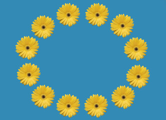 Flat lay composition of yellow Gerber flowers on the blue background