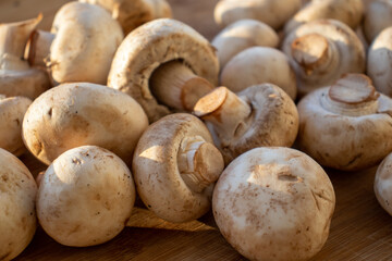 Fresh healthy brown mushrooms with very shallow depth of field. Mushrooms and champignons on the table. Mushrooms on the table top view