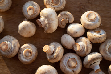 Fresh healthy brown mushrooms with very shallow depth of field. Mushrooms and champignons on the table. Mushrooms on the table top view