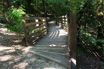 Wooden bridge into Parc du Bois Vidal Aix les bains town Auvergne-Rhône-Alpes region France 