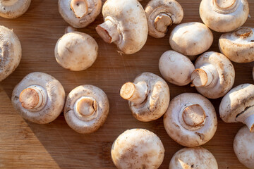 Fresh healthy brown mushrooms with very shallow depth of field. Mushrooms and champignons on the table. Mushrooms on the table top view