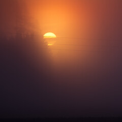 A beautiful misty morning in the spring. Sun shining throught the mist. Soft, warm, diffused light...