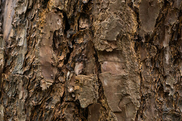 texture