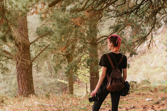 young woman with pink hair in the forest taking pictures with a digital reflex camera. girl from behind contemplating a pine forest. professional photography.