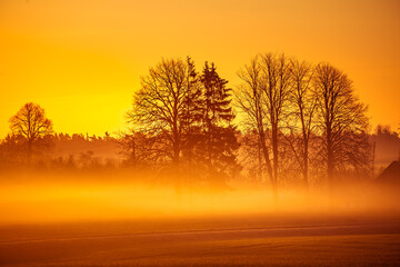 Fototapeta na wymiar A beautiful spring landscape with rising sun through the mist. Sun shining over misty rural landscape. Springtime scenery of Northern Europe with sunrise.
