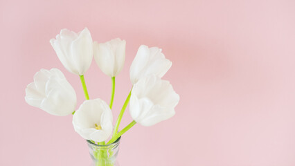 White tulips in glass vases on pink background. Simple home decor idea with bud vases. On trend floral arrangements. Template for Easter, springtime, women's day, mother's day.