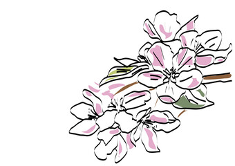  abstract floral background, flowers in the garden