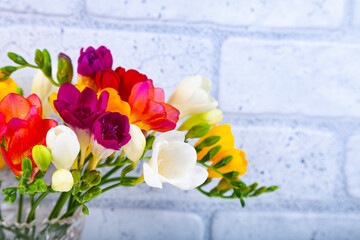 Bouquet of multi-colored freesias