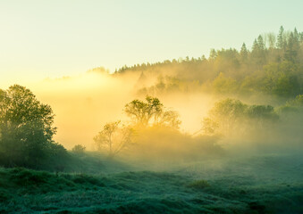 A beautiful misty morning in the river valley. A springtime sunrise with fog at the banks of the...