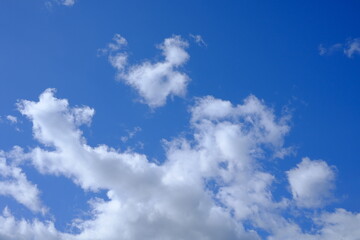 Naklejka na ściany i meble Blue Sky with some clouds