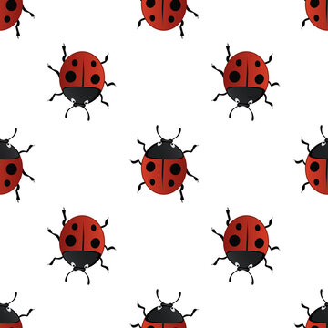 vector summer seamless pattern with red ladybirds-01