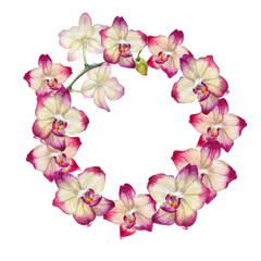 Fototapeta na wymiar Tropical wreath made of watercolor orchid flowers isolated on white