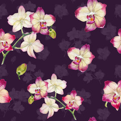 Tropical seamless floral pattern. Watrcolor orchid flowers