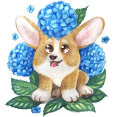 Watercolor drawing sketch painting of corgi dog with flowers hydrangea