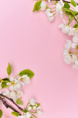 Background with colorful flower ideal for social media post etc. 