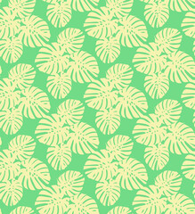Fototapeta premium monstera green pattern summer jungle