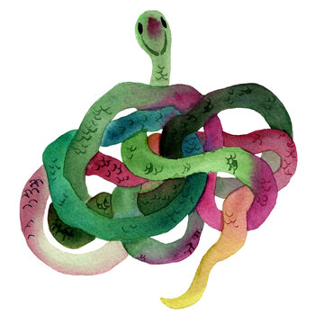 Watercolor hand drawn illustration of snakes in green color with skin texture. Snake lies in the shape of a ring. Animal in cartoon style. Design for covers, backgrounds, decorations.