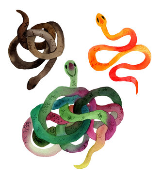 Watercolor hand drawn illustration of snakes in orange, brown, green colors with skin texture. Snake lies in the shape of a ring. Animal in cartoon style. Design for covers, backgrounds, decorations.
