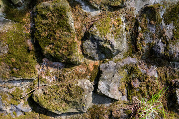 Weathered basalt boulder rock wall in gray black anthracite colors covered with moss and lichen, overgrown with moss, grouted with cement, grout. Texture without vignetting