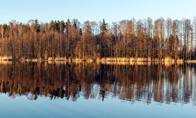 Beautiful landscape view to the lake in the forest with a trees without foliage reflected in a clear blue water at sunny early spring day