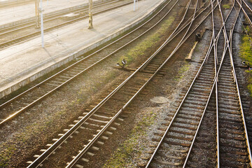 Obraz premium Sunset over train station. Railway top view background. Train transport industry. Rail track texture. Empty train station platform. Evening train departure landscape. Sunlight track gravel.