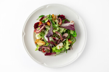 Salad with octopus, vegetables and herbs. Banquet festive dishes. Gourmet restaurant menu. White...