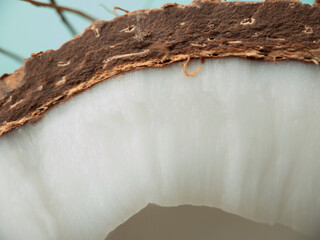Closeup texture of a cutaway coconut fruit on a blue background.