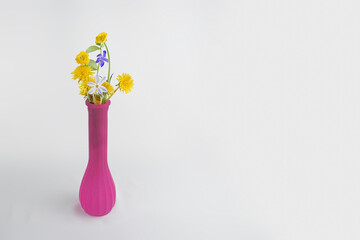 Purple vase flower with wild flowers of the garden on white background with copy space.