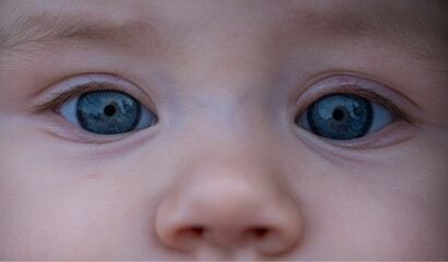 Beautiful big gray baby eyes. 