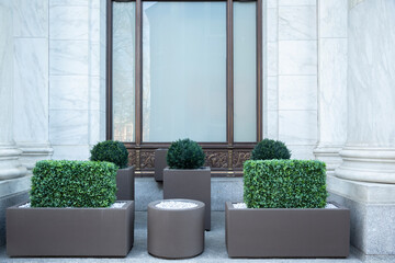 Big gray, metal planters with foliage plants and terrace design with a modern mix of construction...
