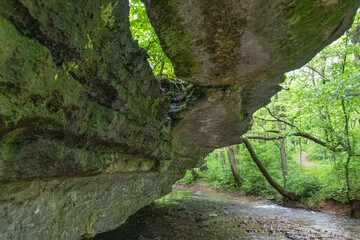 Beauty In Arkansas