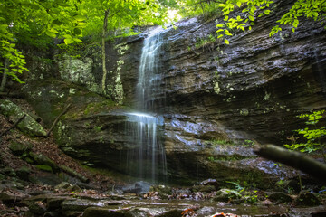 Beauty In Arkansas