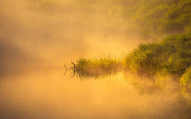 A beautiful river morning with mist and sun light. Springtime scenery of river banks in Northern Europe. Warm, colorful look.