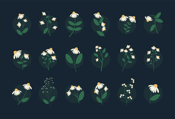 Green White And Yellow Flower Set