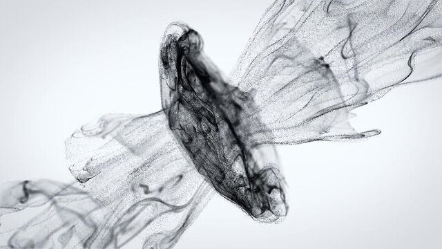 Black fluid ink particles. Collision of two particle streams. Effect of ink in water. Black particles on a white background. Slow motion. 4K