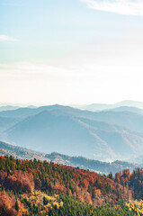 Mountain wilderness landscape, panorama hills mountain range covered with forest, warm autumn day October, blue haze on horizon.
