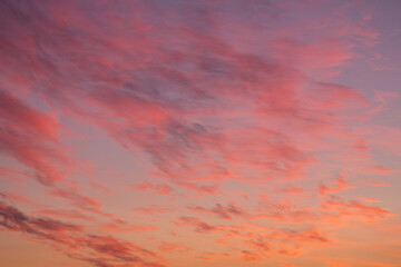 Dramatic sunrise, sunset pink orange violet blue sky with cirrus clouds in sunlight abstract background texture