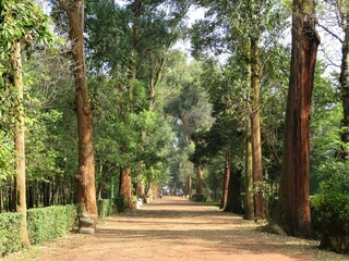 Viveros de Coyoacan park in Mexico city