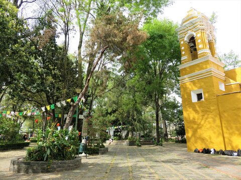 Santa Catarina Church And Plaza In Coyoacan, Mexico City