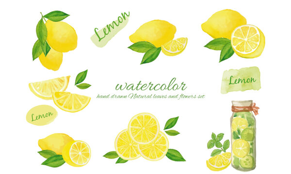 1 125 最適な レモンの輪切り 画像 ストック写真 ベクター Adobe Stock