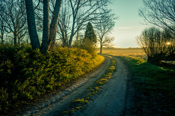 A beautiful spring landscape with a gravel road. Springtime scenery of an old road in Northern Europe.