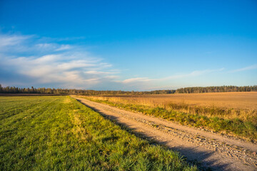 A beautiful spring landscape with a gravel road. Springtime scenery of an old road in Northern Europe.