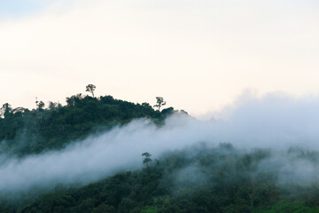 The mist on the mountain after the rain