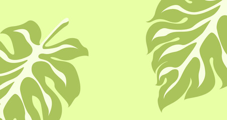 背景素材「モンステラ」