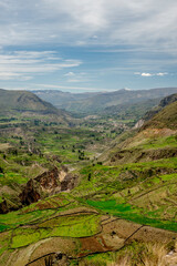 Arequipa Valle del Colca